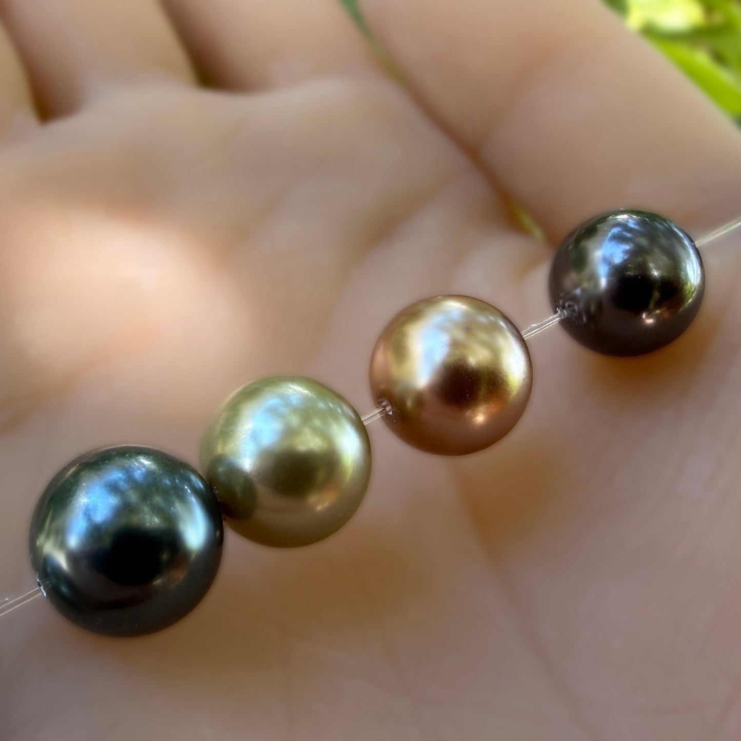 Momi Shell Pearl South Sea Set