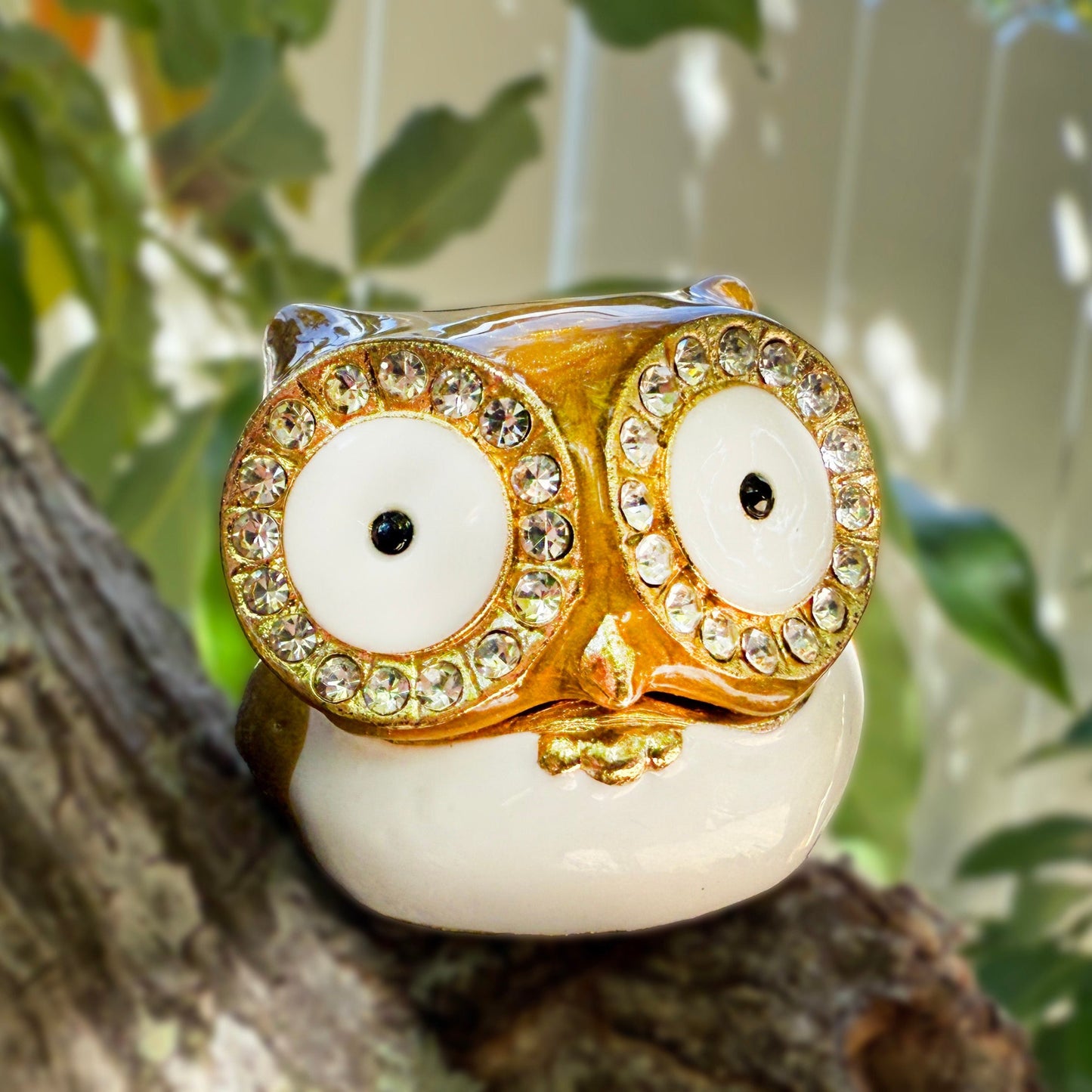 14K Gold Pueo Owl CZ Earrings w/Keepsake