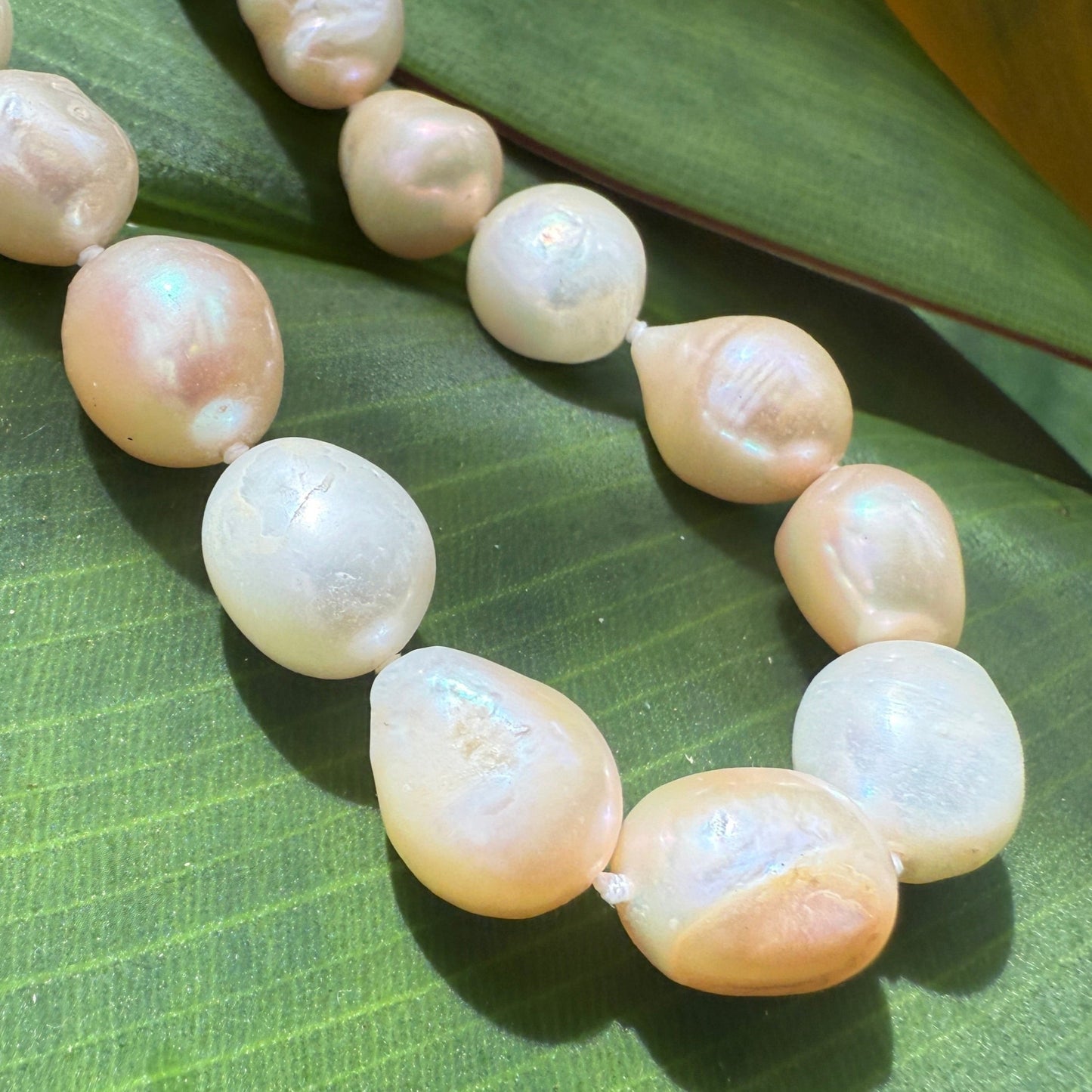 Pearl necklace on a green leaf