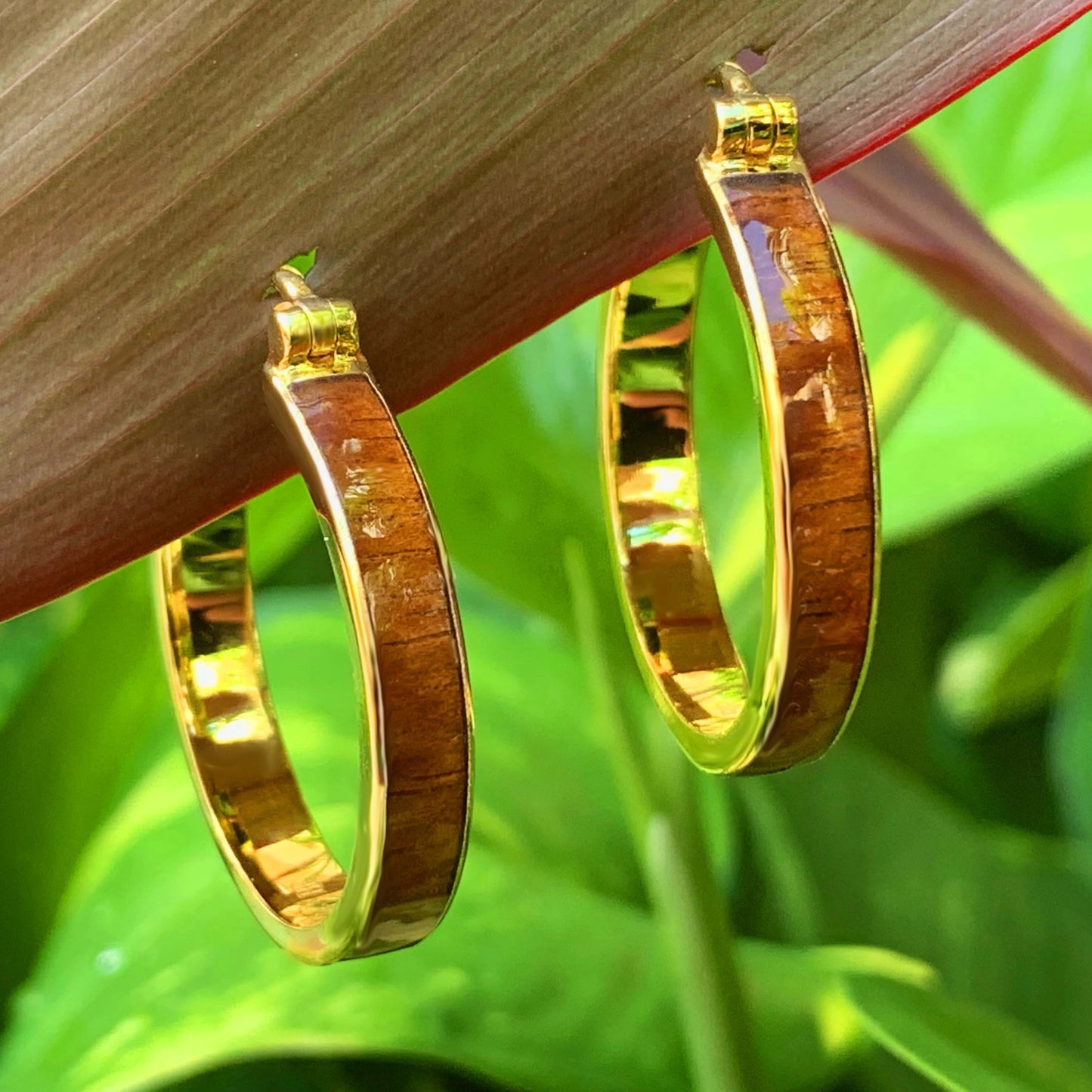 Koa Wood Hoop Earrings