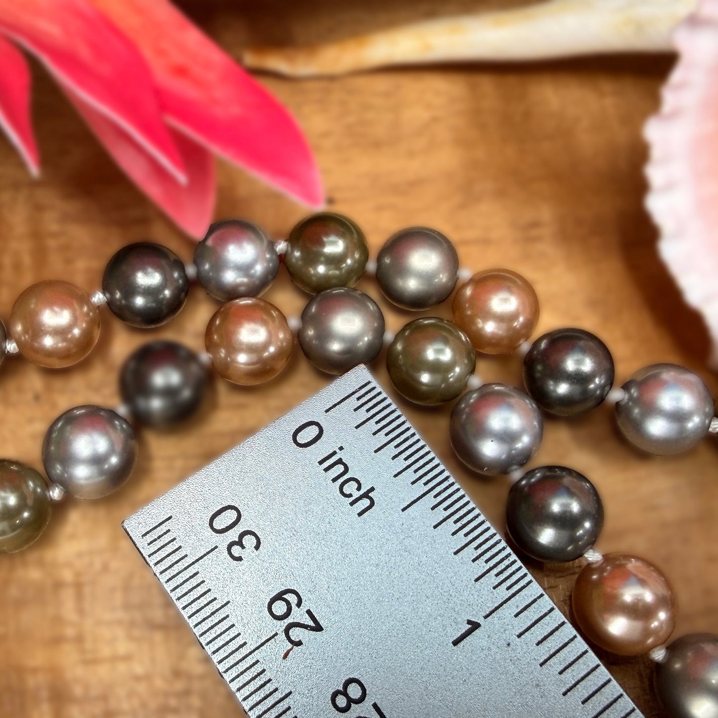Momi Shell Pearl  South Sea Set