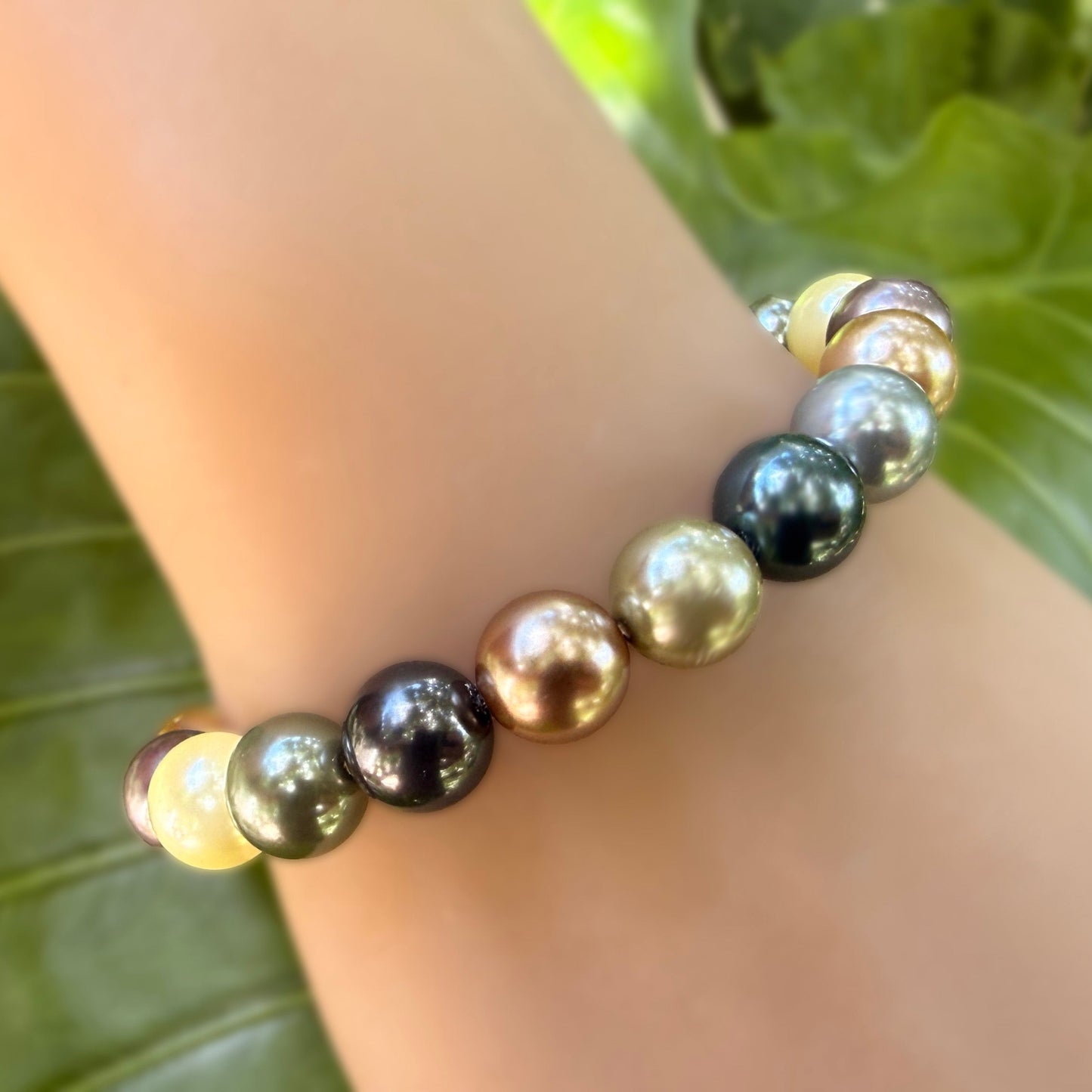 Momi Shell Pearl  South Sea Set