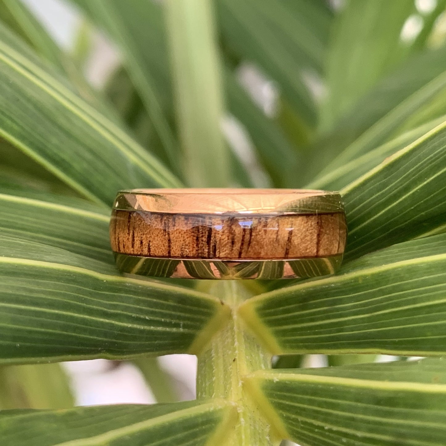 Close up of Koa 14K Gold Plated over Stainless Steel Ring.