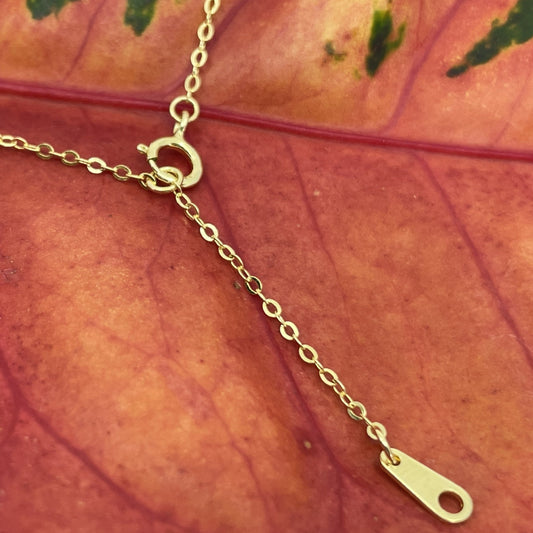 Adjustable Link Chain Closeup