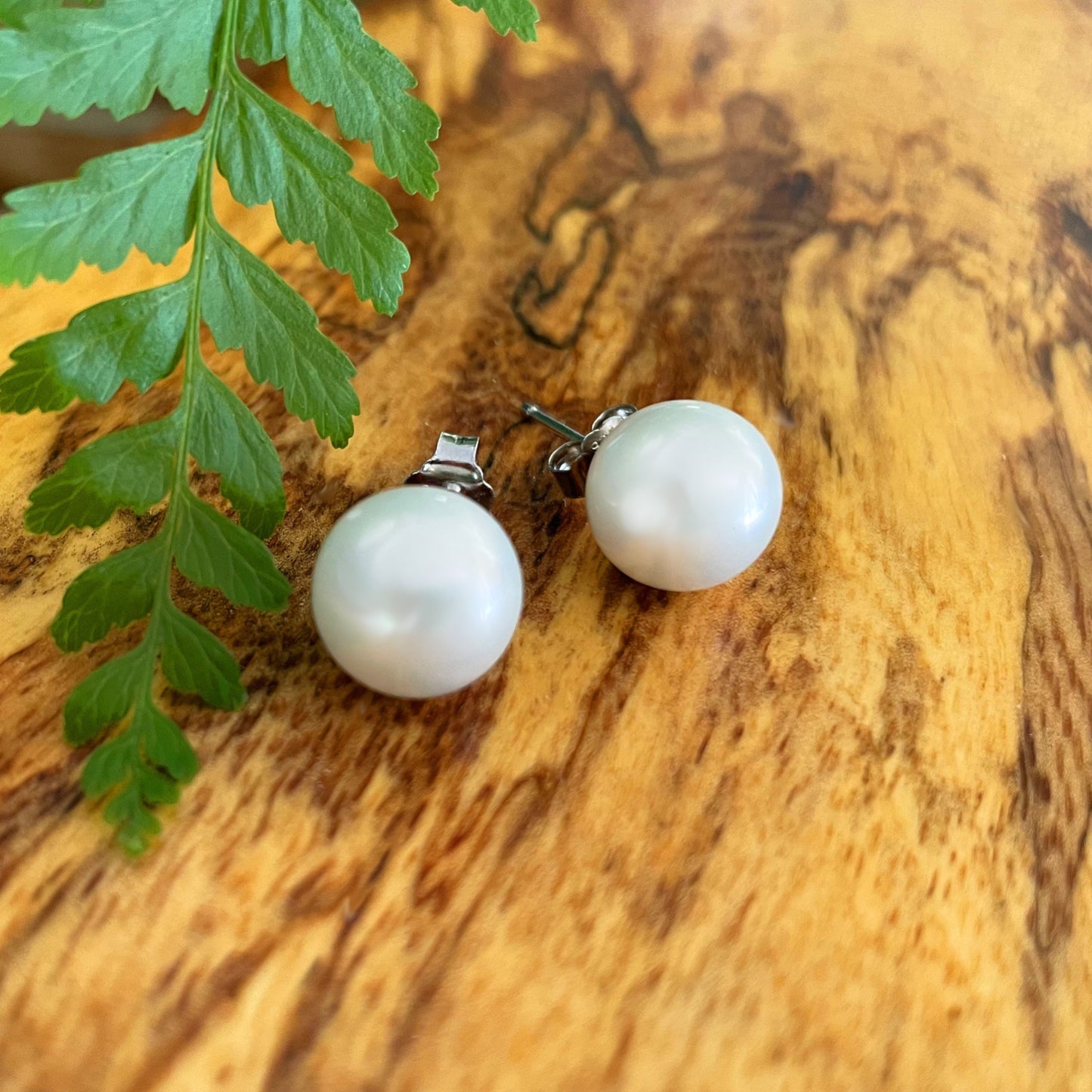 Momi Shell Pearl Post Earring in White