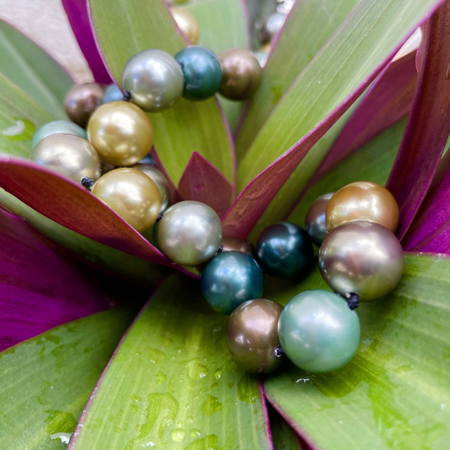 Momi Tahitian Colors Shell Pearl Necklace and Bracelet Combo