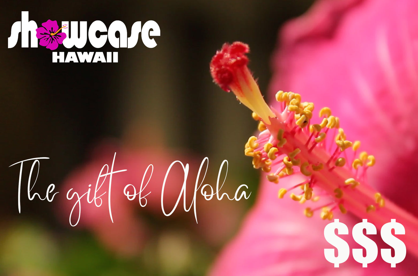 Showcase Hawaii Gift Card
